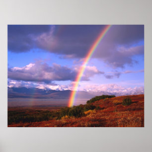 Poster La beauté de Rainbow