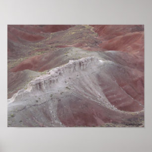Poster La beauté majestueuse du désert peint