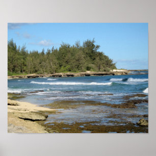 Poster La belle baie de tortue dans Oahu Hawaï