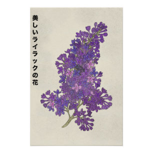 Poster La Belle Fleur de Lilas