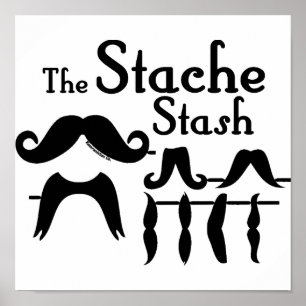 Poster La cachette de Stache