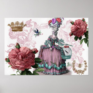 Poster la cage aux oiseaux (The Birdcage)