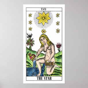 Poster La carte Star Tarot