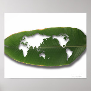 Poster La carte vermoulue du monde de feuille
