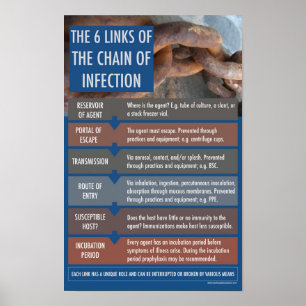 Poster La chaîne de l'affiche éducative inflationniste