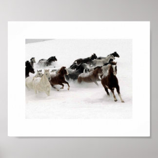 Poster La charge des chevaux.