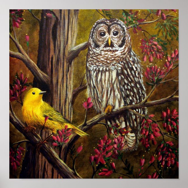 Poster La Chouette et les Canaries (Devant)