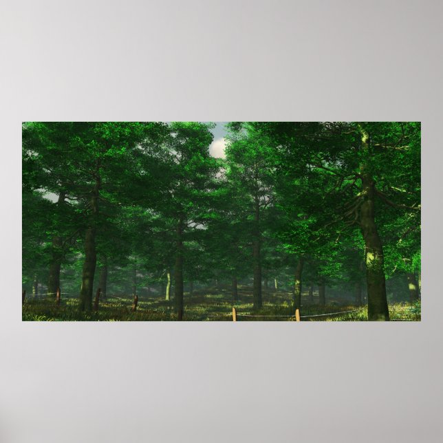 Poster La clarté de la nature - extrême (Devant)