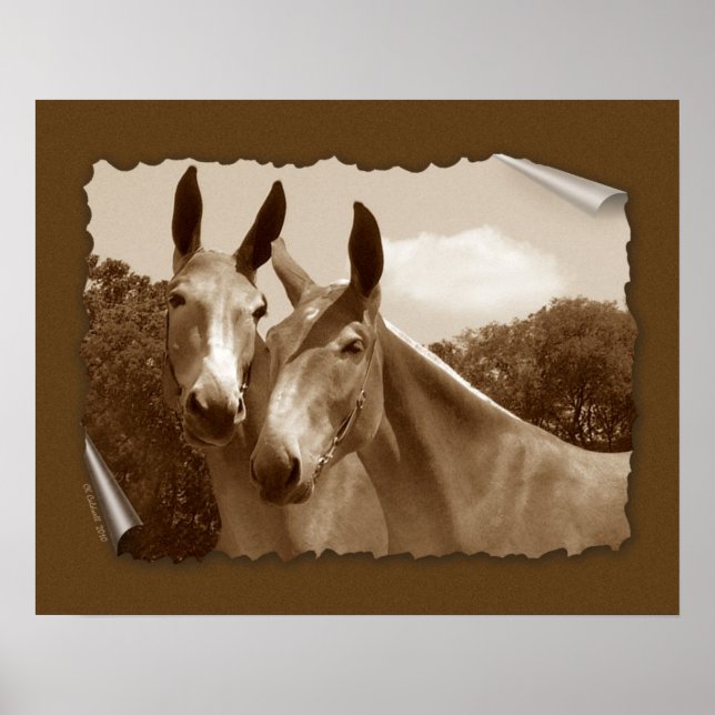 Poster La conversation (Devant)