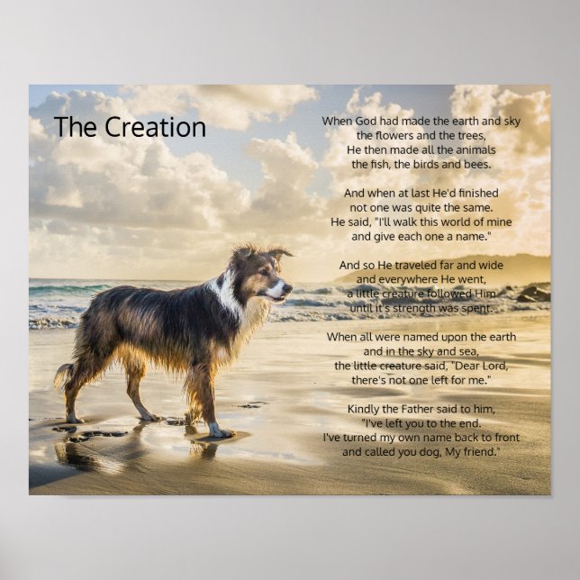 Poster La création de la vie et du poème du chien (Devant)