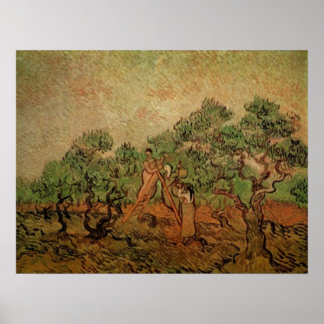 Poster La cueillette d'olives par Vincent van Gogh (Devant)