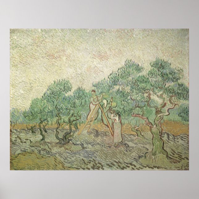 Poster La cueillette d'olives par Vincent van Gogh, Art V (Devant)