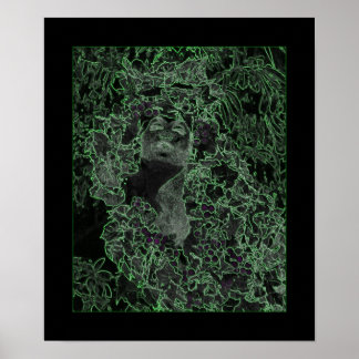 Poster La Dame de la Forêt