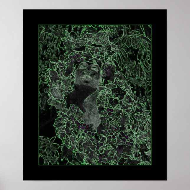 Poster La Dame de la Forêt (Devant)