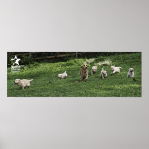 Poster La demi-douzaine de Romp de Holly