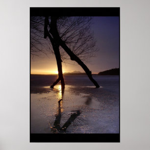 Poster La dernière figure Scater