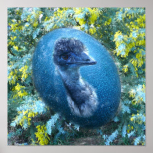 Poster La faune d'Emu