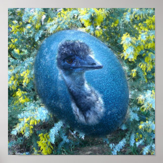 Poster La faune d'Emu