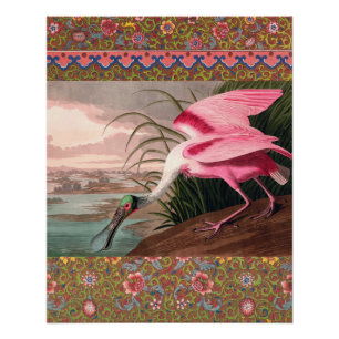 Poster La faune des oiseaux d'Audubon de Spoonbill Roseat