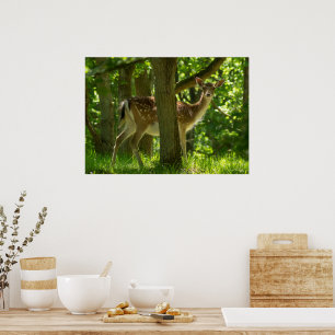 Poster La faune Le cerf en jachère dans la forêt parmi le