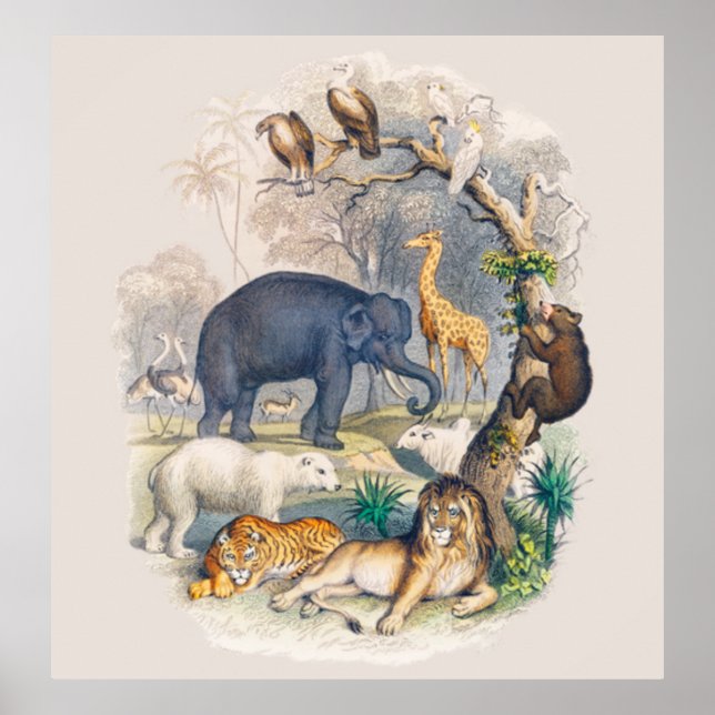 Poster La faune vintage dans l'art naturel (Devant)