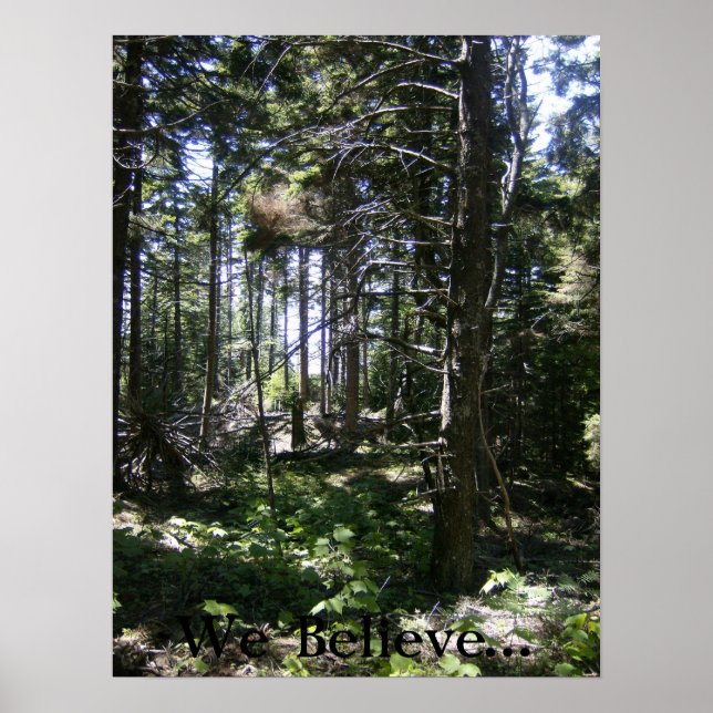 Poster La Fée Monhegan (Devant)