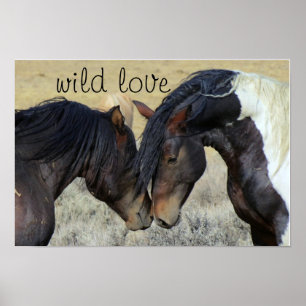 POSTER LA FEMME AIME LES CHEVAUX