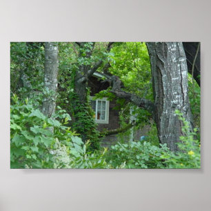 Poster La fenêtre de la nature