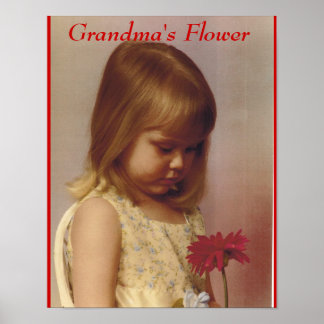 POSTER LA FLEUR DE GRANDMA