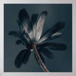 Poster La Fleur Délicieuse Et Sombre