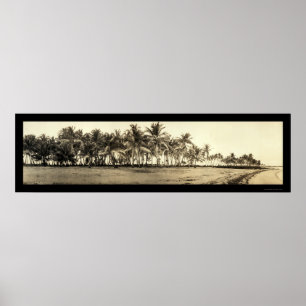 Poster La Floride verrouille la photo 1912 de pêche