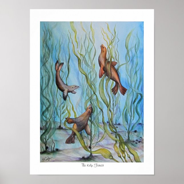 Poster La forêt de Kelp (Devant)