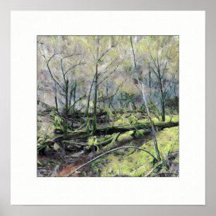 Poster La forêt de Mossy