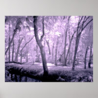 La forêt de Samurai