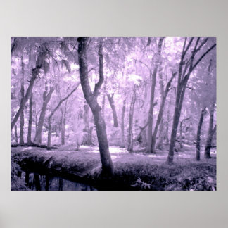 Poster La forêt de Samurai