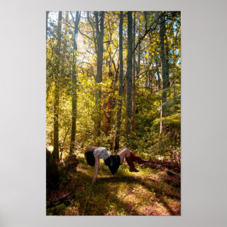 Poster La forêt des rêves