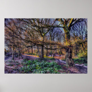 Poster La forêt enchantée 1