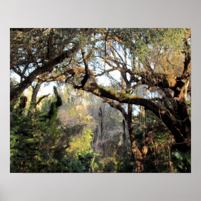 Poster La Forêt Magique (Devant)