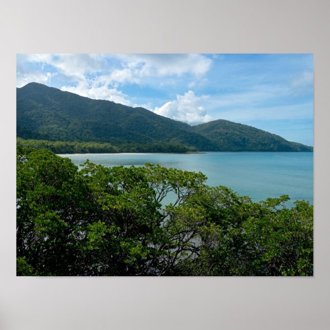 Poster La forêt pluviale de Daintree au Cap Tribulation (Devant)