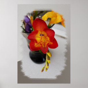 Poster La frénésie rouge