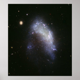 Poster La galaxie NGC 1427A plonge vers la galaxie de