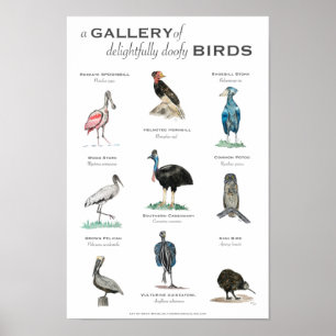 Poster La Galerie des Oiseaux délicieusement Doofy 11x17