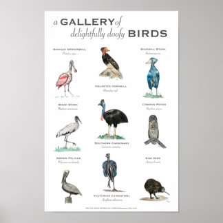 Poster La Galerie des Oiseaux délicieusement Doofy 11x17