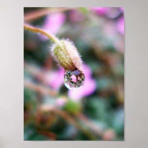 Poster La goutte de pluie tient la réflexion