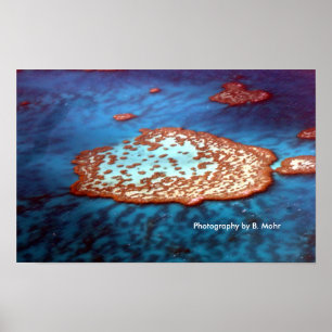 Poster La Grande barrière de corail