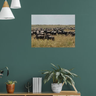 Poster La Grande Migration – Photo de Wildebeest Africain