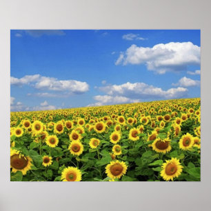 Poster La_Grandeur_de_Nature_(5)