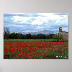 Poster La grange de campagne dans le champ de coquelicots