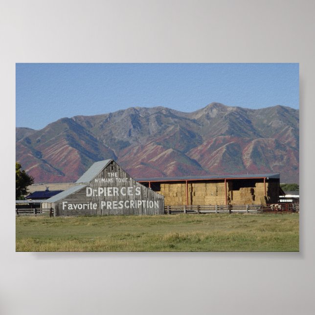 Poster La grange du Dr Pierce (Devant)