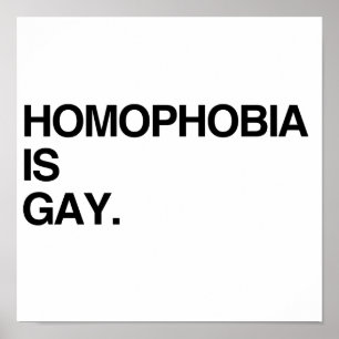 POSTER LA HOMOPHOBIE EST GAIE